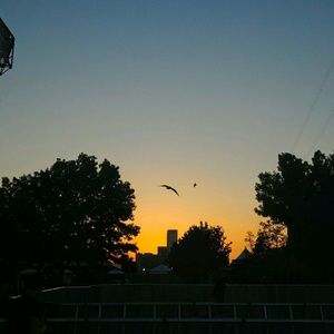 Meet your Posher, Alvin